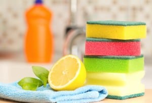 Eco-friendly oven cleaning products